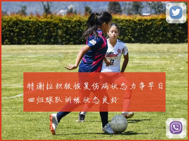 特谢拉积极恢复伤病状态力争早日回归球队训练状态良好